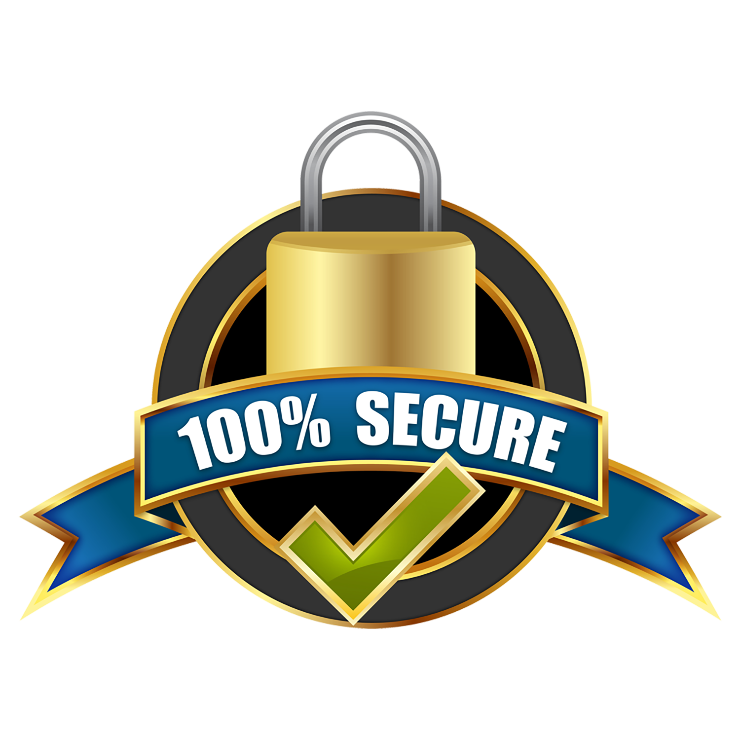 Secure Payment
